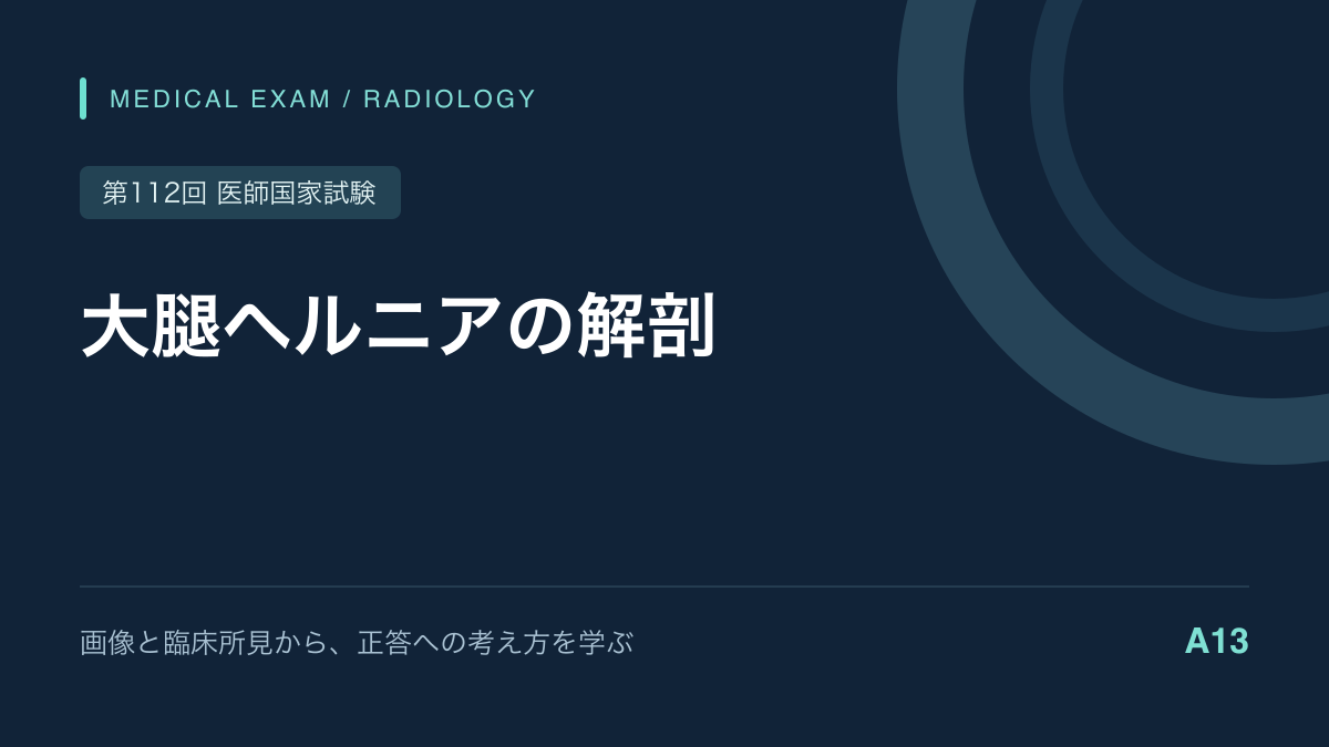 大腿ヘルニアの解剖｜高齢女性と嵌頓を結び付ける｜第112回医師国家試験A13