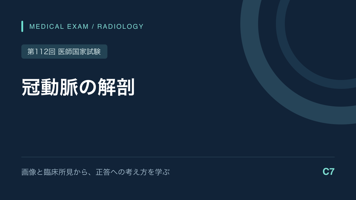 冠動脈CTの解剖｜LCX・LAD・RCAを走行で見分ける｜第112回医師国家試験C7